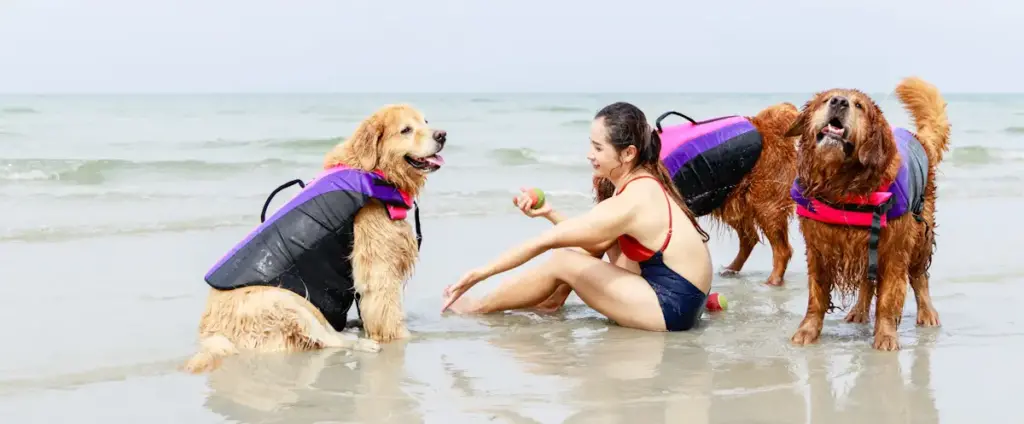 Woman playing with two dogs at beach
