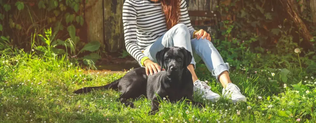 Woman with black dog sitting in sunny garden