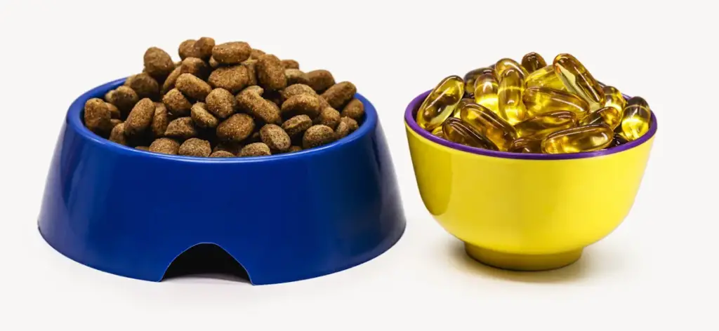 Dog food in blue bowl, omega-3 capsules in yellow bowl.