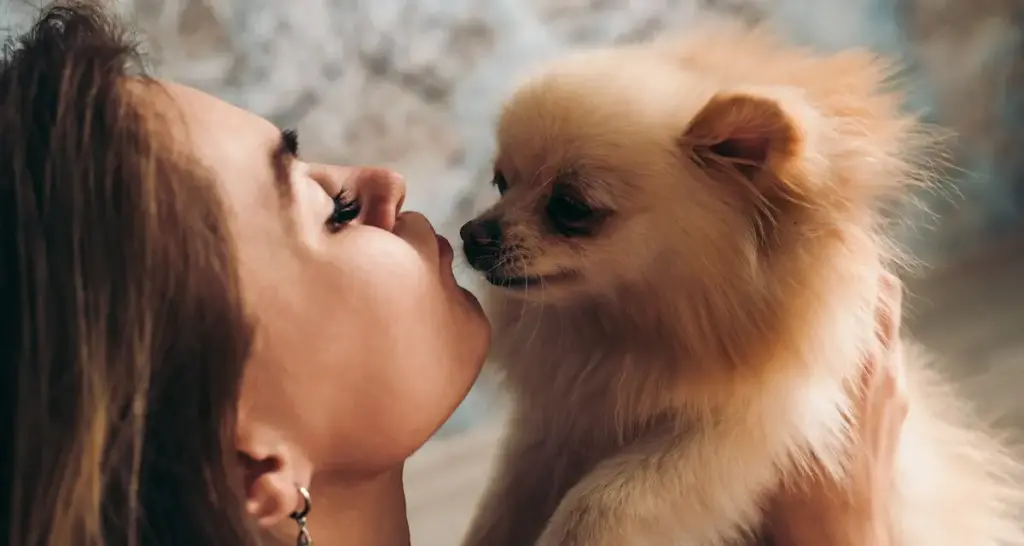 Woman affectionately nose-to-nose with Pomeranian dog.