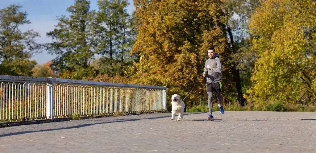 Man jogging with dog in autumn park