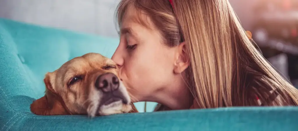 Girl kissing brown dog on sofa