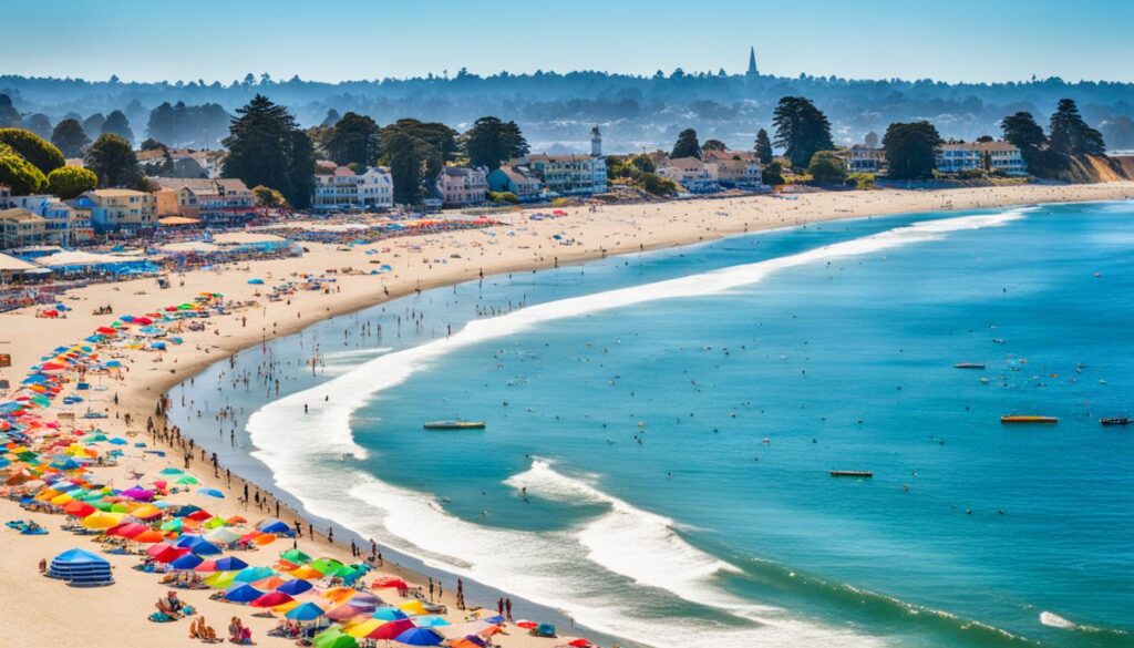 dog friendly beach in Santa Cruz